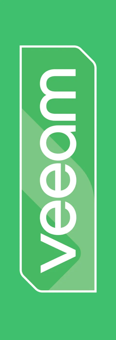 Veeam Software · Events — Green flag — 100 × 300 cm