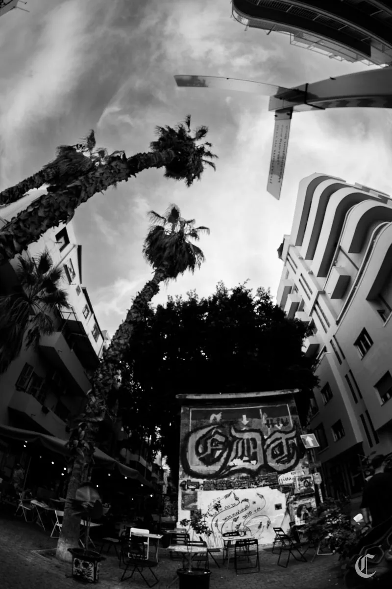 Florentin courtyard, palms, Bauhaus, mural