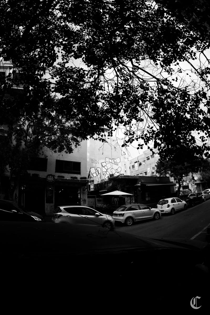 Tree canopy framing a Tel Aviv street